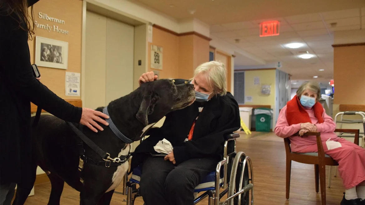 Pet-Therapy-In-Long-Term-Care-Homes.webp